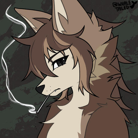 Solo icon (FLAT COLOURED)