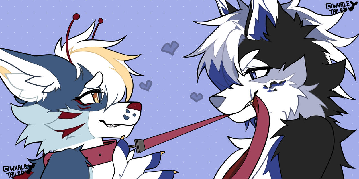 Solo icon (FLAT COLOURED)