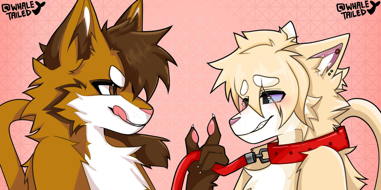 Solo icon (FLAT COLOURED)