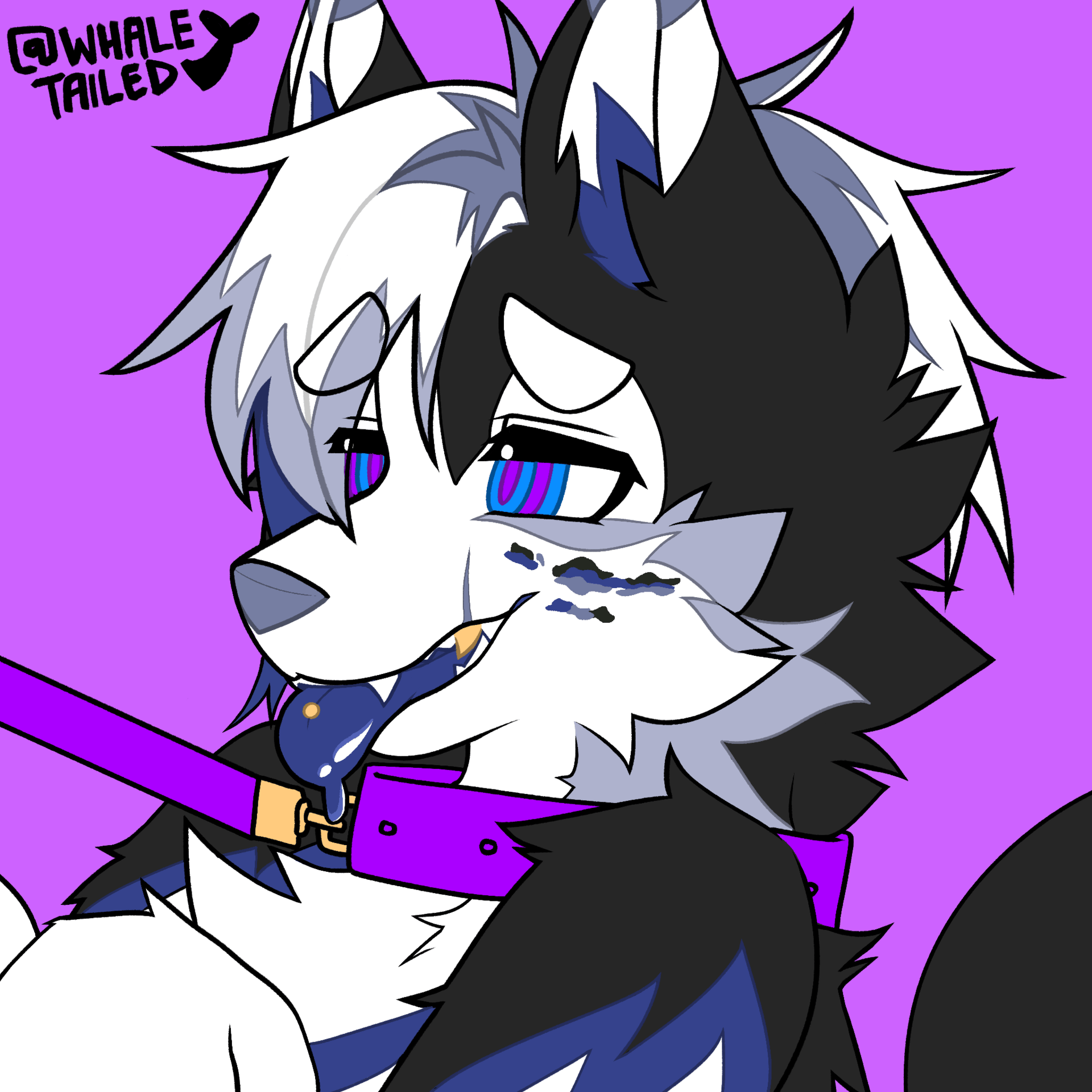 Solo icon (FLAT COLOURED)